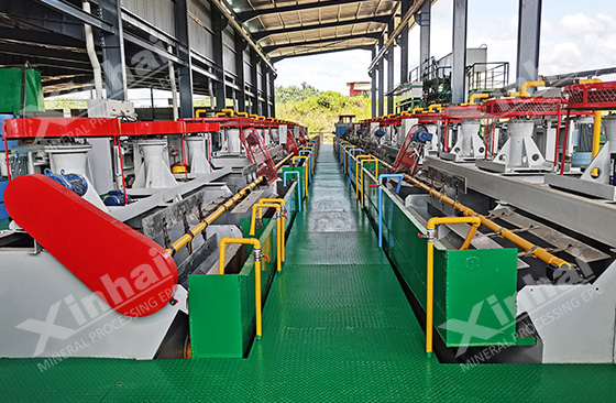 gold-ore-flotation-system-installed-by-xinhai.jpg