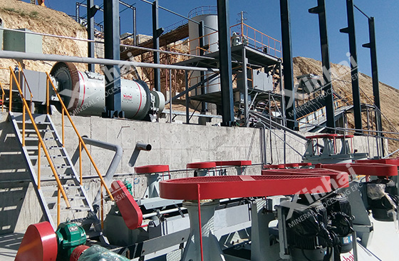gold ore flotation processing site gold ore flotation processing site