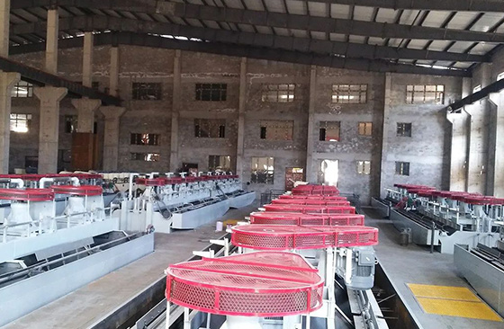 graphite ore flotation system
