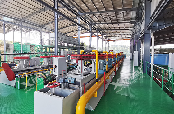 lepidolite mineral flotation separation system designed by xinhai