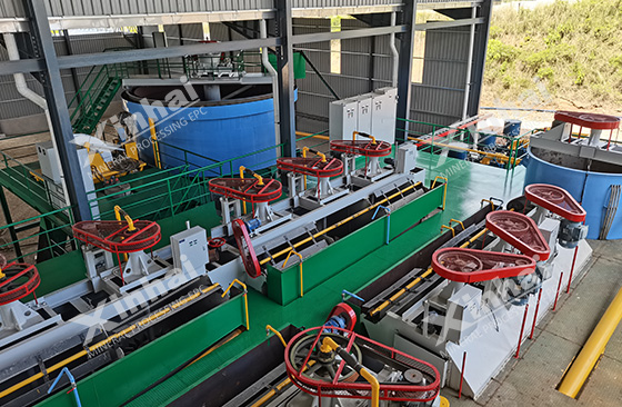spodumene-ore-flotation-separation-system.jpg spodumene-ore-flotation-separation-system.jpg