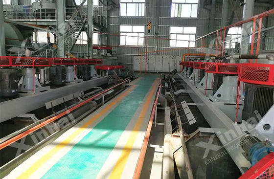 xinhai-cobalt-mineral-flotation-system.jpg