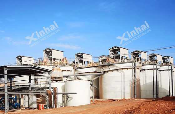 Guinea 15000TPD gold mineral processing plant Guinea 15000TPD gold mineral processing plant