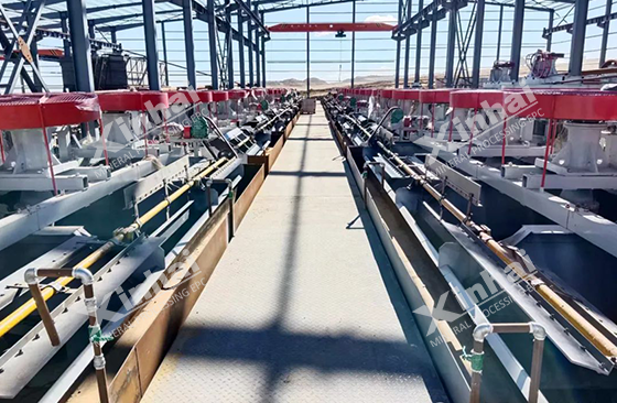 Mongolia 800TPD fluorspar ore flotation project