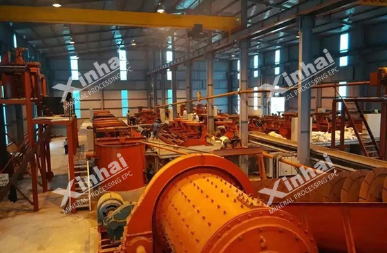 Vietnam 800tpd graphite ore concentrator project