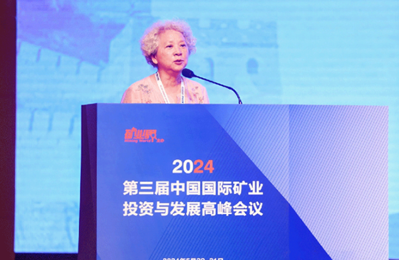 Vice President Zou Kuihuang delivered a speech Vice President Zou Kuihuang delivered a speech