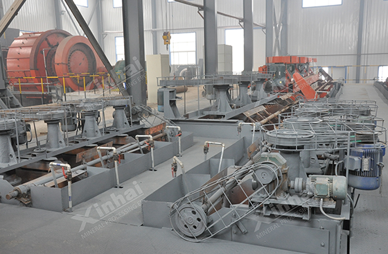 Flotation Process of Copper-Molybdenum Ore Flotation Process of Copper-Molybdenum Ore