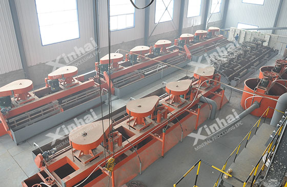 Flotation Process of Copper-Molybdenum Ore Flotation Process of Copper-Molybdenum Ore
