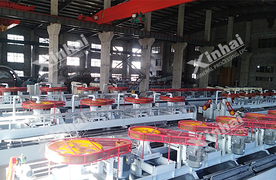 flotation separation system for graphite ore beneficiation