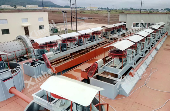 flotation separation system for ilmenite ore