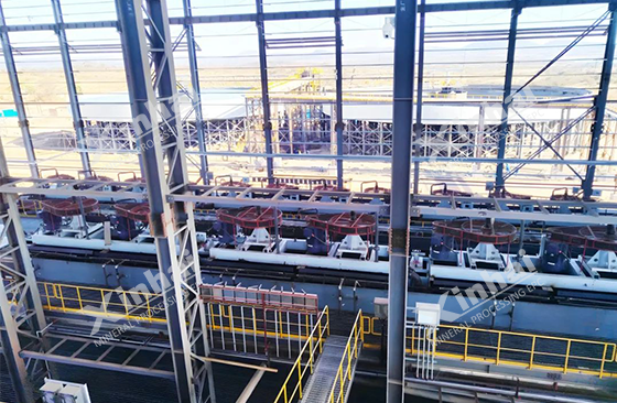 Zimbabwe 2 million TPA spodumene flotation project