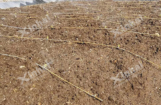 influence of ore for gold heap leaching influence of ore for gold heap leaching