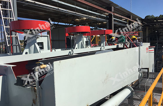 lead zinc ores flotation lead zinc ores flotation