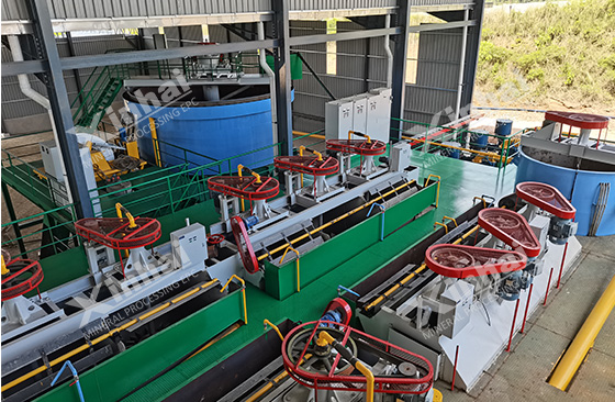 lepidolite ore flotation machine lepidolite ore flotation machine