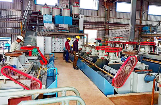Nickel-cobalt sulfide flotation process Nickel-cobalt sulfide flotation process