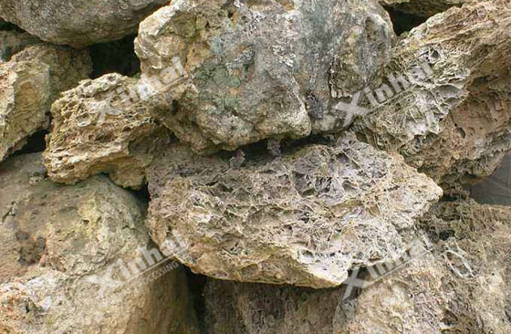 phosphate phosphate