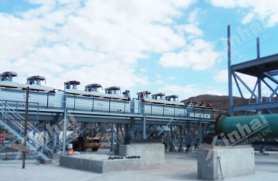 mineral flotation group in ore dressing plant