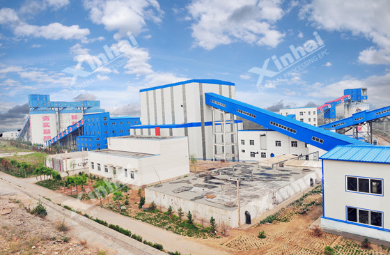 Xinhai: Your Specialist Partner for Mineral Processing Design