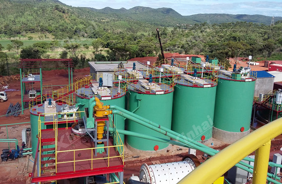 oxidized-gold-ore-processing-plant.jpg
