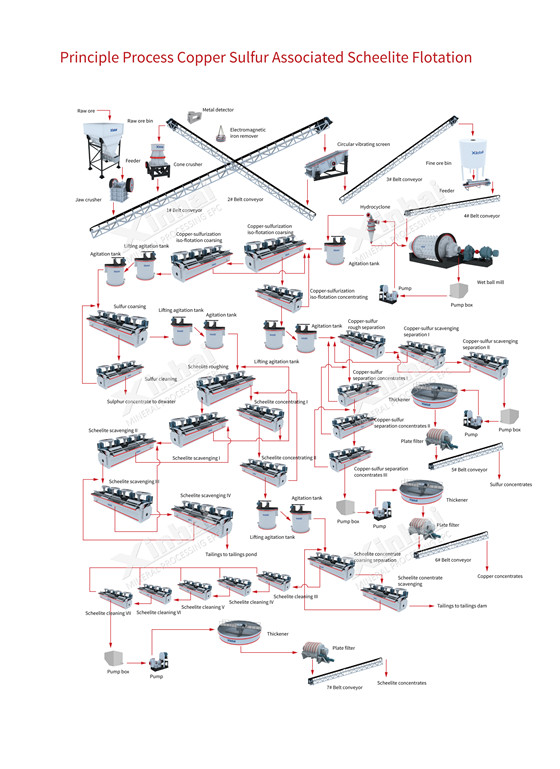 scheelite-flotation-processing.jpg