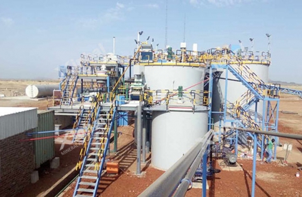 Direct Carbon Leaching of Gold Extraction