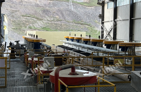 xinhai-case-xinjiang-2-million-tpa-gold-ming-plant01.png