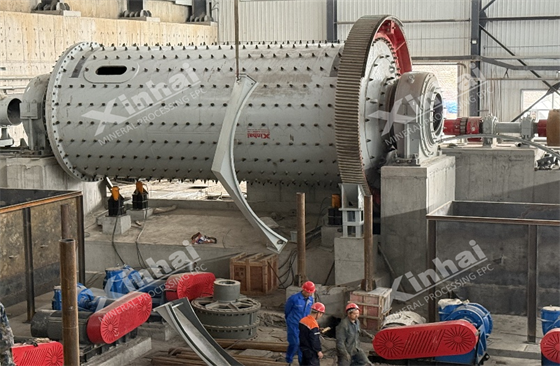 xinhai-case-xinjiang-2-million-tpa-gold-ming-plant02.png
