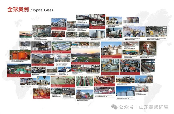 xinhai-typical-cases.jpg xinhai-typical-cases.jpg