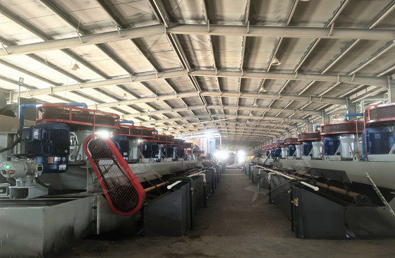 1000-tpd-gold-tailings-reprocessing-plant-Shandong.jpg