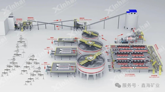 Customized-Flotation-Solutions-Backed-by-Strong-R&D.jpg