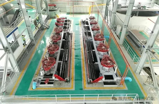 Selected-Xinhai-Flotation-Projects03.jpg