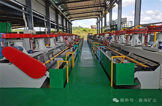 Selected-Xinhai-Flotation-Projects07.jpg