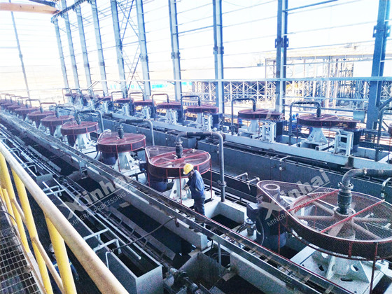 lithium-flotation-workshop.jpg.jpg lithium-flotation-workshop.jpg.jpg