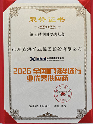 xinhai-national-outstanding-supplier-award.jpg
