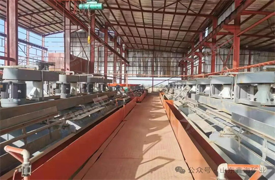 xinhai-nigeria-1000tpd-copper-silver-plant.jpg xinhai-nigeria-1000tpd-copper-silver-plant.jpg