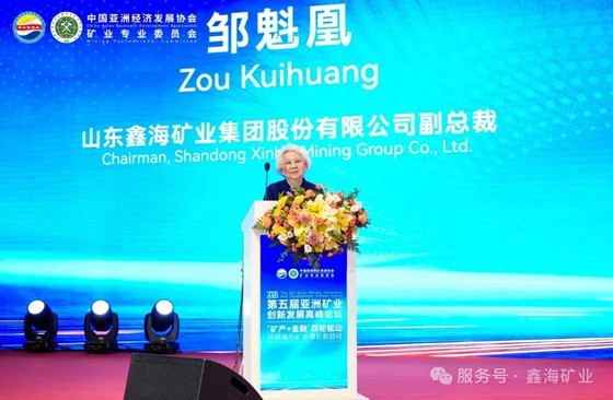 Practical Experience for Smarter Overseas Mining Investment