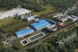 lithium mineral processing plant